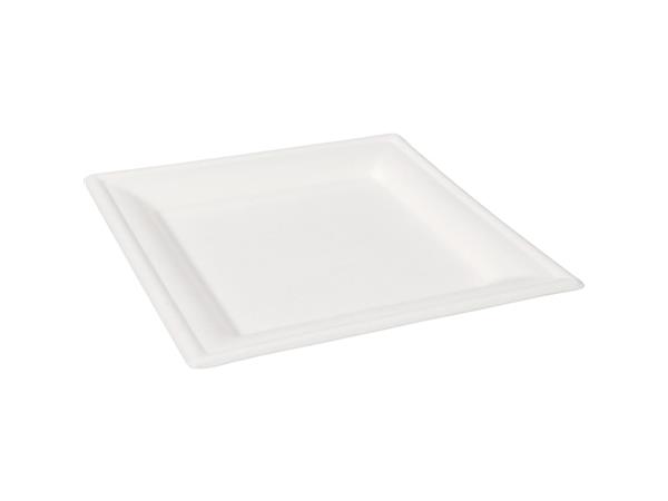 Een Bord Wit Bagasse Vierkant 16cm koop je bij ShopXPress