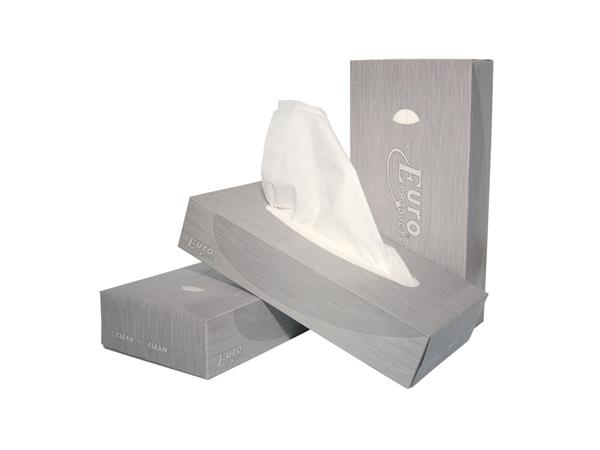 Een Facial Tissues Euro, cellulose - 2 laags 40 doosjes van 100 ST koop je bij ShopXPress