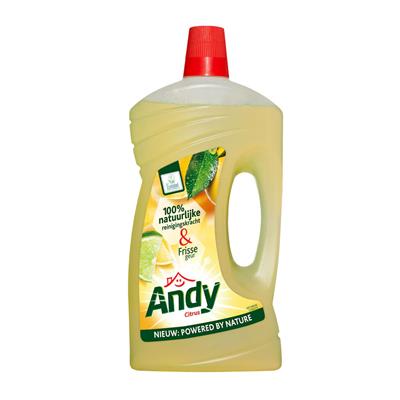 Een Andy Allesreiniger 6x1L - Allesreiniger koop je bij ShopXPress