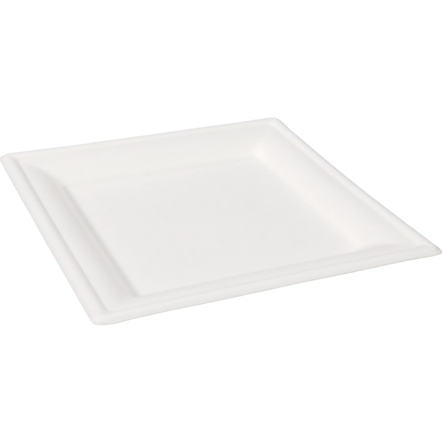 Een Bord Wit Bagasse Vierkant 16cm koop je bij ShopXPress