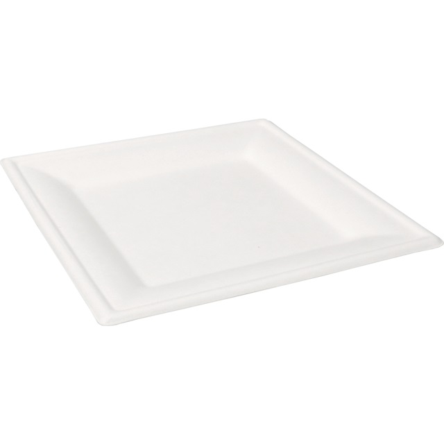 Een Bord Wit Bagasse Vierkant 26cm koop je bij ShopXPress