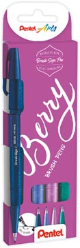 Een Pentel brushpen Sign Pen Brush Touch, kartonnen etui met 4 stuks: donkerblauw, paars, rose en turquoise koop je bij ShopXPress