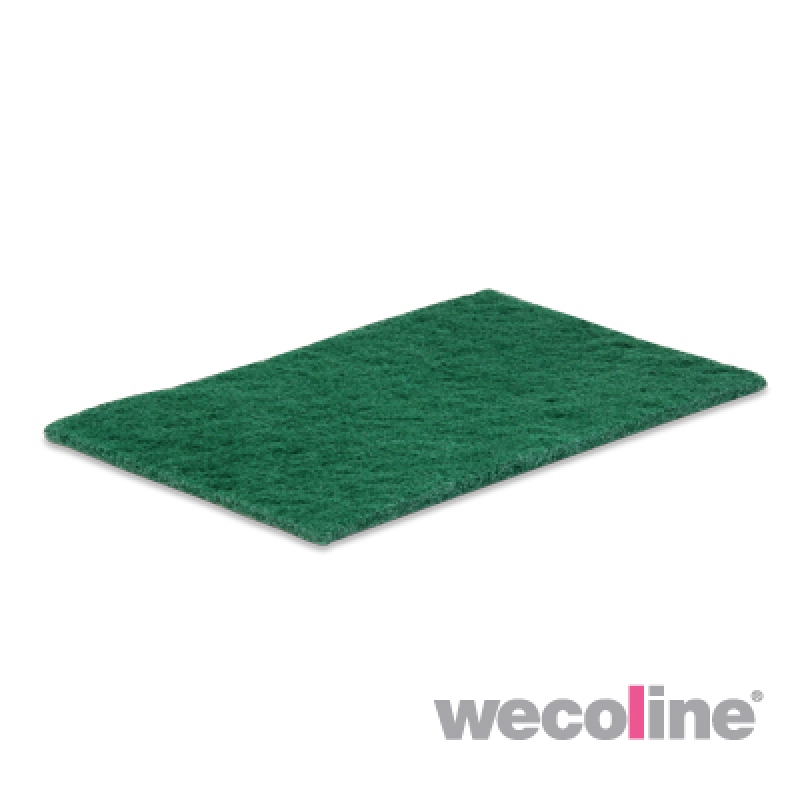 Een Schuurlap groen 15x23 cm 10 st koop je bij ShopXPress